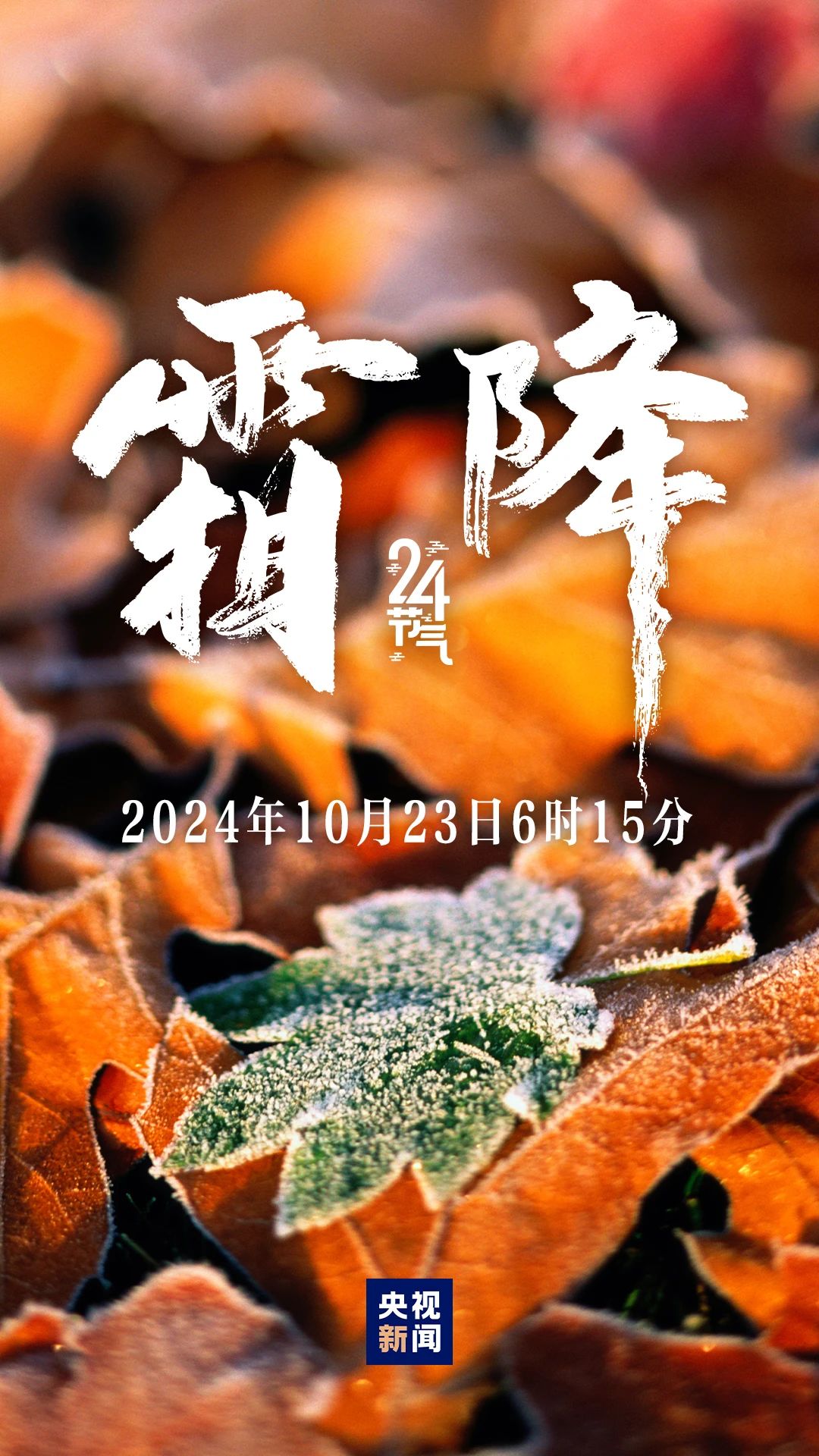 秋季最后一個節(jié)氣，來了